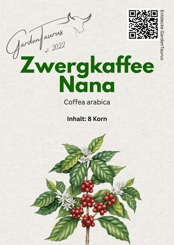 Coffea arabica nana - arabica, –