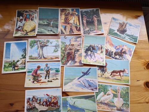 Sanella bilder sammelwerk - sanella, bilder,sammelwerk
