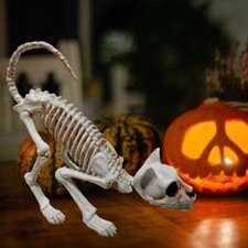 Halloween Skelett Katze