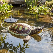 Wasserspeier schildkröte - wasserspeier,