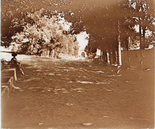 Arles les alyscamps - les,