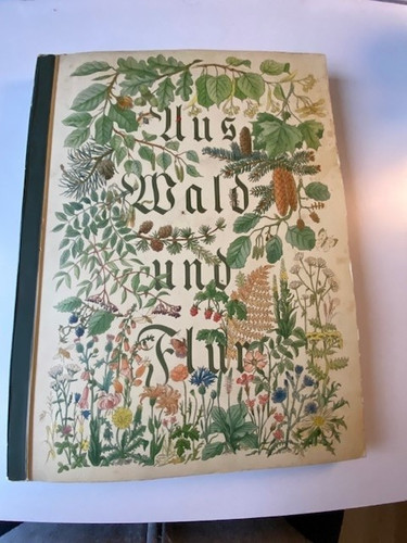 Aus wald und flur - wald,