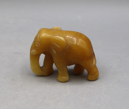 Wunderschöner elefant aus - wunderschöner,