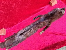 schöne , alte Fuchs-Stola  
