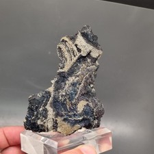 💎Video🌈Top ästetich schwarzblauer Covellin auf Pyrit Grube Clara Schwarzwald