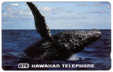 6U Nahaufnahme Foto Von