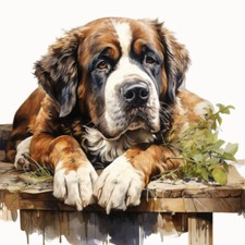 Wandbild hund bernhardiner - wandbild,