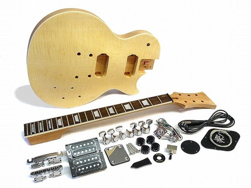 E-Gitarren-Bausatz