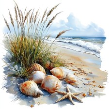 Wandbild Strand Muscheln Meer