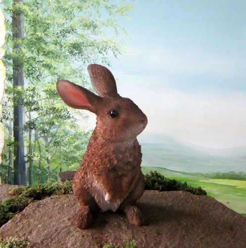 Sitzender hase von hotant - sitzender,