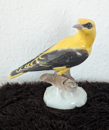 Rosenthal vogel figur pirol - pirol,
