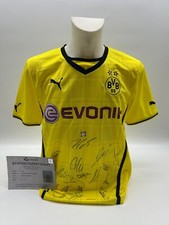 BVB Trikot 2013/2014