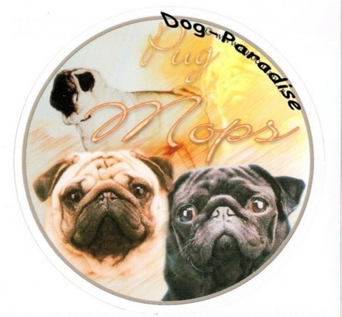 Design aufkleber mops pug - aufkleber, 2