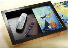 Rosina Wachtmeister Wenko