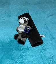 Süßer Waschbär mit