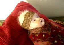 antikes Fatschenkind  Süddeutsch Bayern um 1900 Terracotta  Kopf