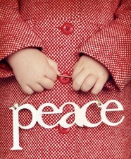 DUNKELROT ADVENTSKALENDER