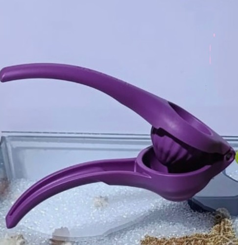 Tupperware zest press - zest,