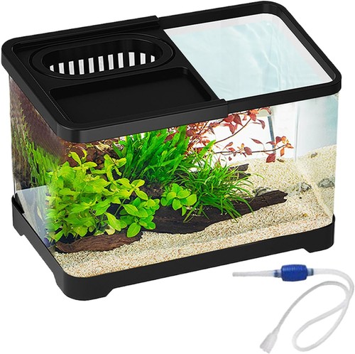 Kleines aquarium leicht - kleines, aquarium,