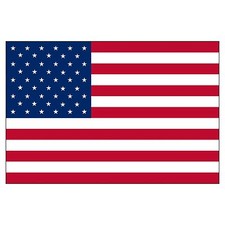 USA America Flag Bunting