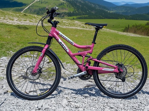 Cannondale jekyll mountenbike - cannondale,