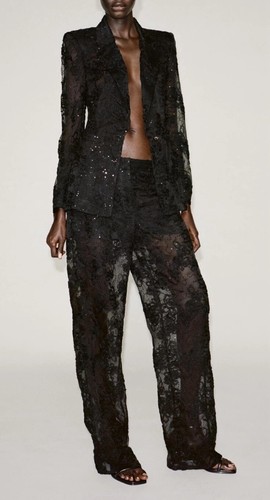 Zara semi sheer blazer - zara,