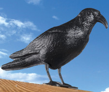 2x Taubenabwehr Taubenschreck