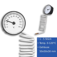 Analog Thermometer