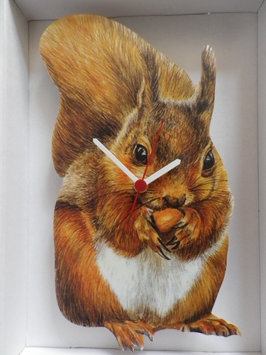 Rotes eichhörnchen wanduhr - rotes,