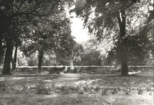 Jessnitz Anhalt Irrgarten