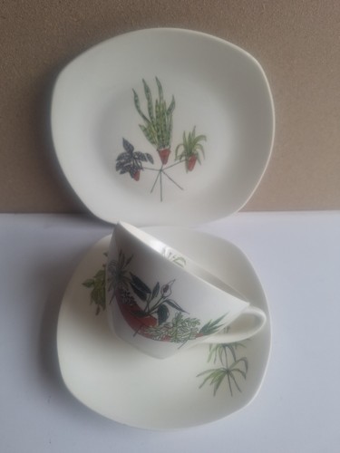 Midwinter plant life - midwinter,