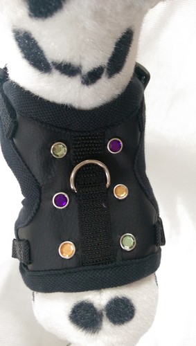 Hundegeschirr - , xs