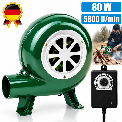 Elektrischer