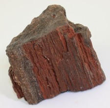 Holz, Dadoxylon sp., Karbon