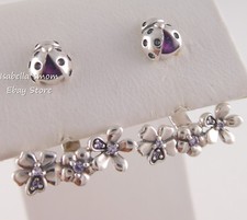 Marienkäfer Wiese Authentisch