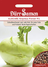Kohlrabi Express Forcer F1 Saatgut von Dürr-Samen