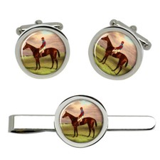 Bay Filly Agility Rennpferd