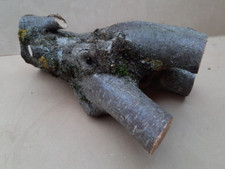 Haselnuss Drechselholz Stammstück  26 x 7 / 5 cm - gestockt - Maserholz Zwiesel