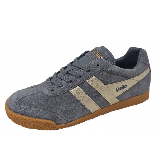 Gola harrier mirror - harrier,