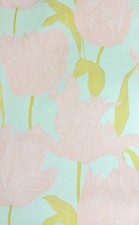 OSBORNE & LITTLE Suzy Hoodness