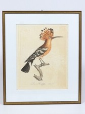 1802 original copperplate - original,