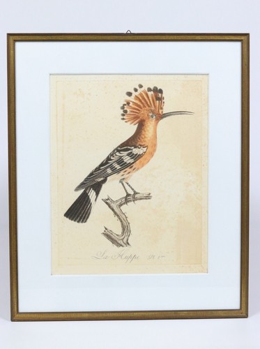1802 original kupferstich - original,