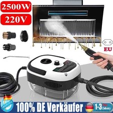 Hochdruck Dampfreiniger Handgerät Tragbarer Dampfreiniger Bürstenköpfen 2500W