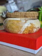 Versteinerte Koralle Armreif