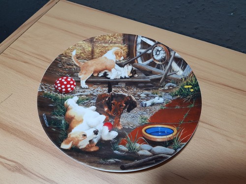 Willy tschudin hunde - willy,