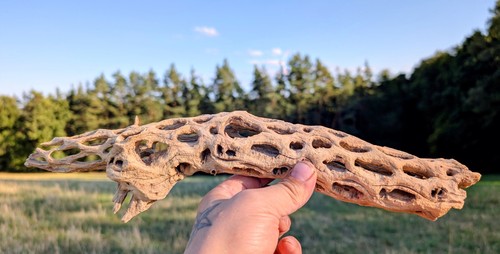 Vuka holz 40 - 40, cm