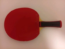 SANWEI Profischläger