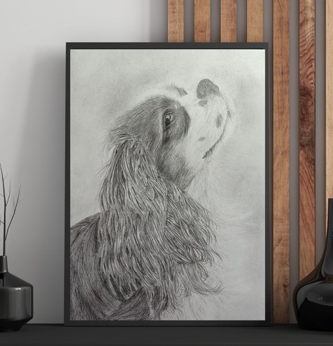 Hunde bleistiftzeichnung - hunde,