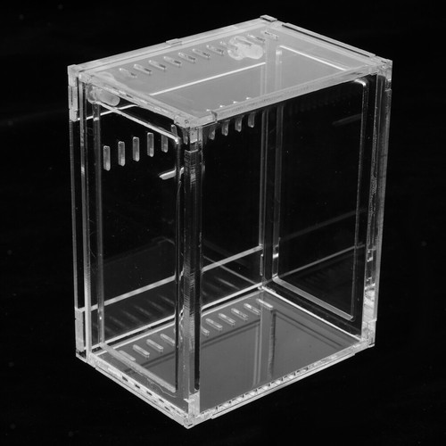 Klare acryl box - box, reptil