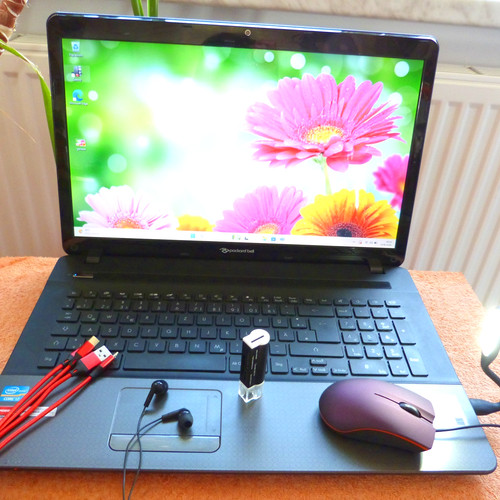 Ls11 multimedia zoll - pb, 17